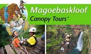 Magoebaskloof Canopy Tours Magoebaskloof Canopy Tours
